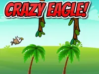 CRAZY EAGLE image